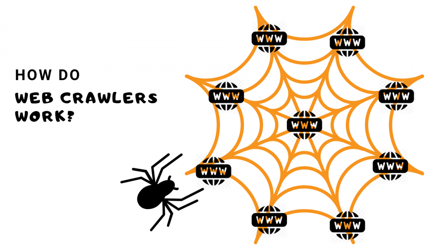 seo spider website crawler